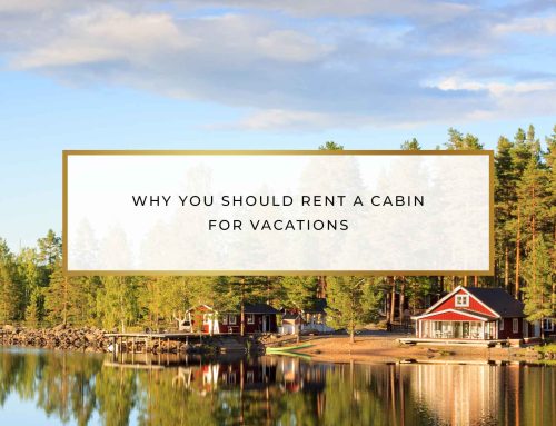 Why You Should Rent a Cabin for Vacations